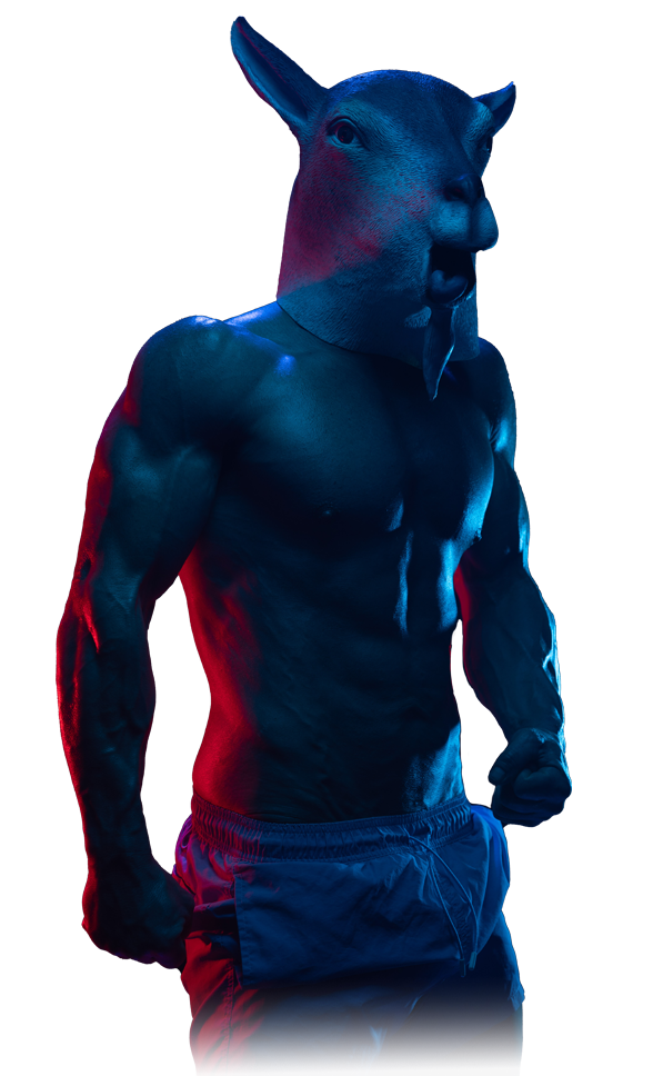 Trainer